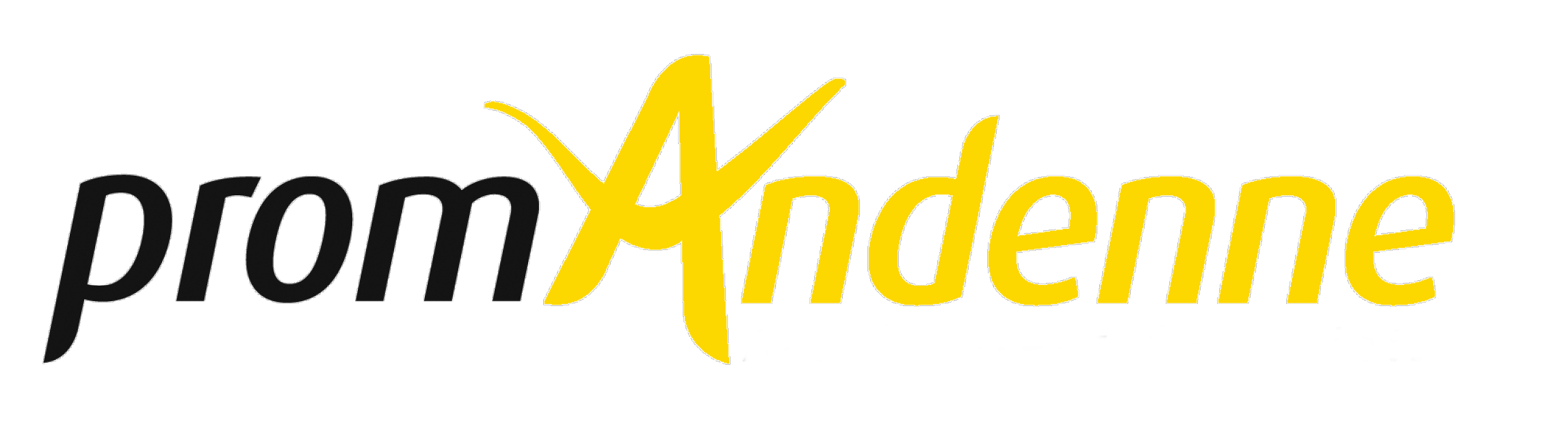 PromAndenne - Logo horizontal web - couleurs
