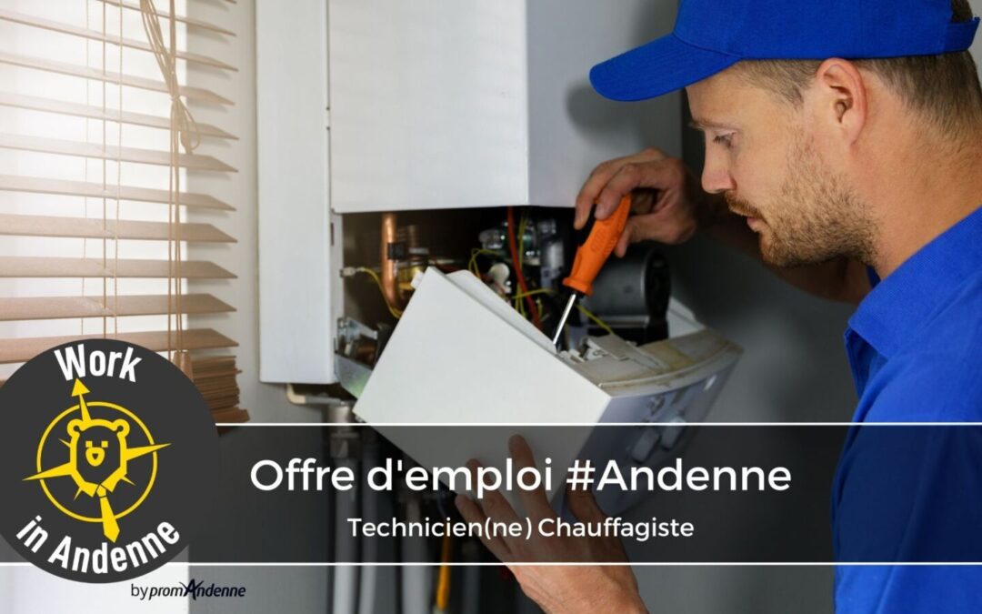 Technicien(ne) Chauffagiste