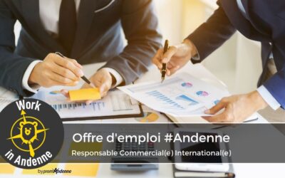 Responsable Commercial(e) International