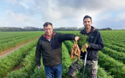 Lactopi Start : des premiers résultats très encourageants en Belgique avec la SCAM