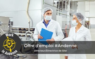 Un(e) Directeur/Directrice de site