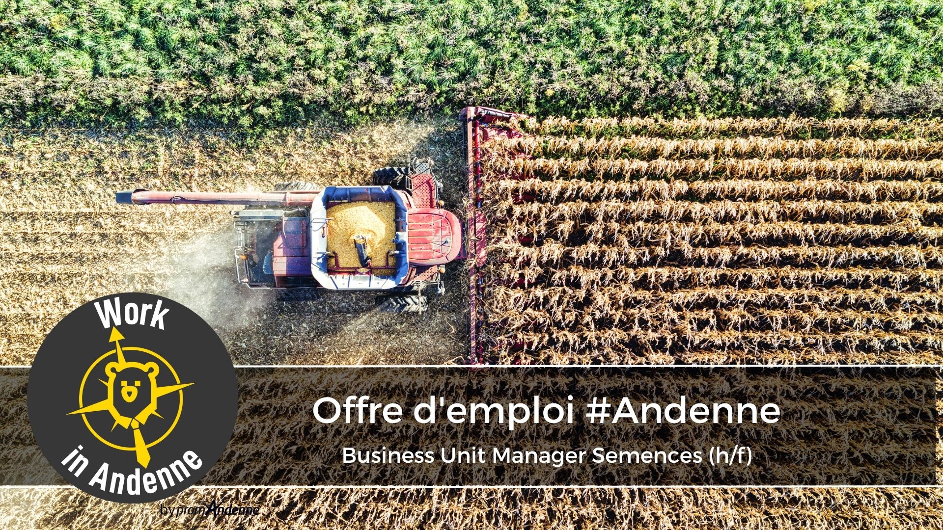 Offre d’emploi #Andenne – 2025-10-31T110035.904