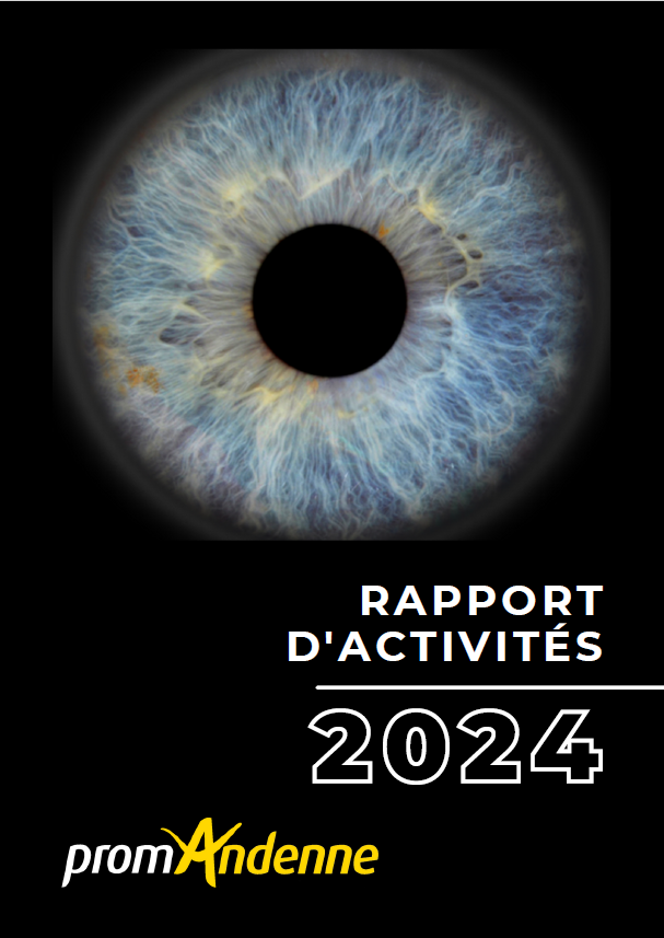 rapport d'activités 2024