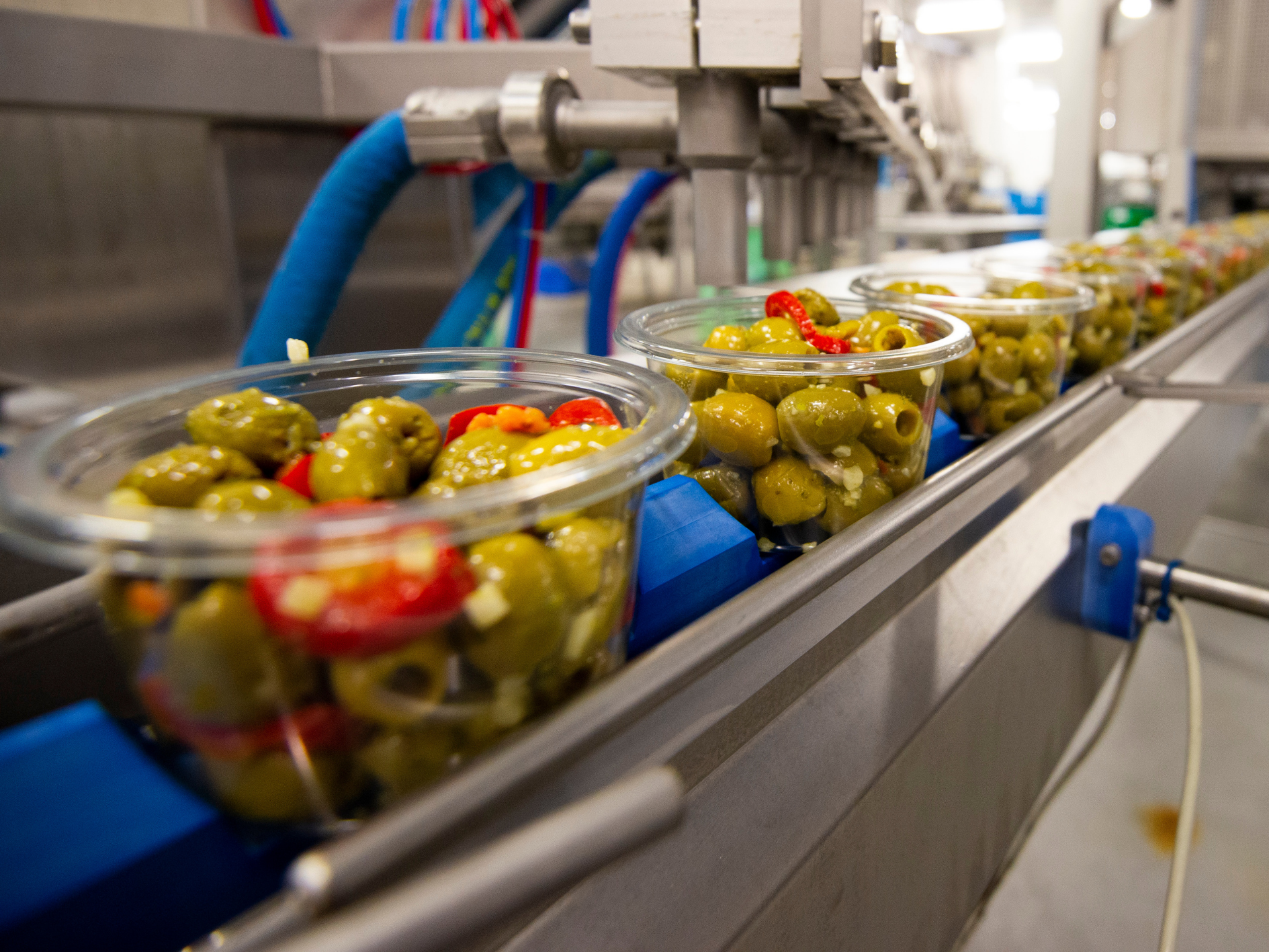 Dans les coulisses de Père Olive : une production bien ancrée à Andenne