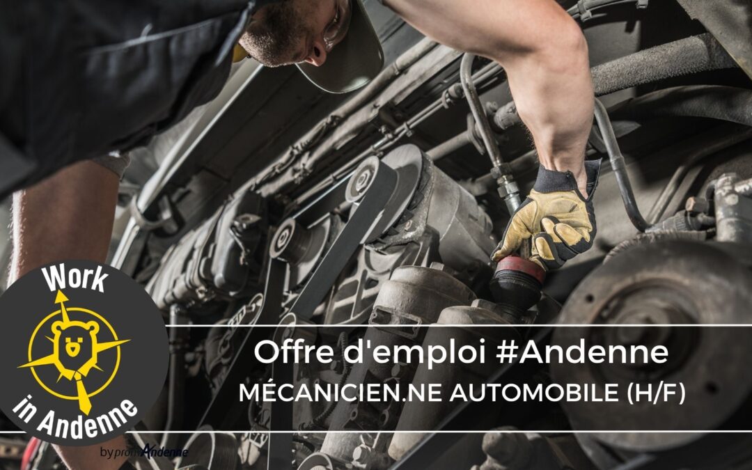Mécanicien(ne) automobile (H/F)