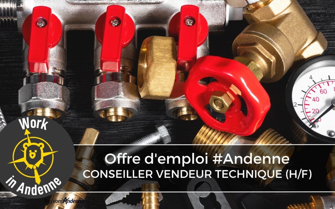 Conseiller vendeur technique (h/f)