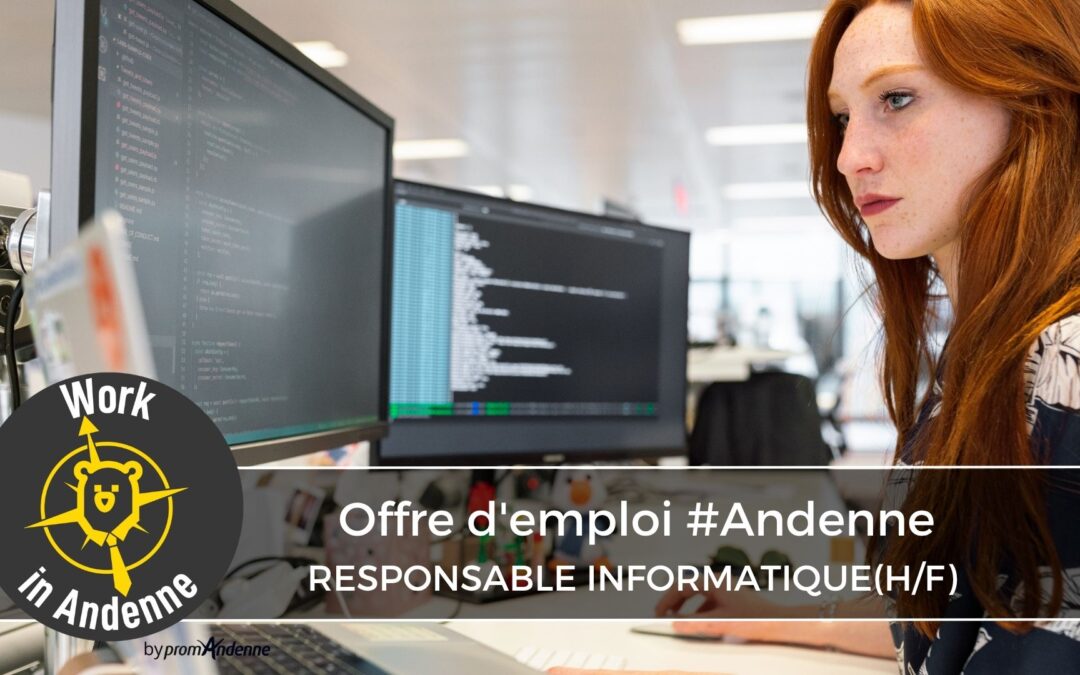Responsable informatique (H/F)