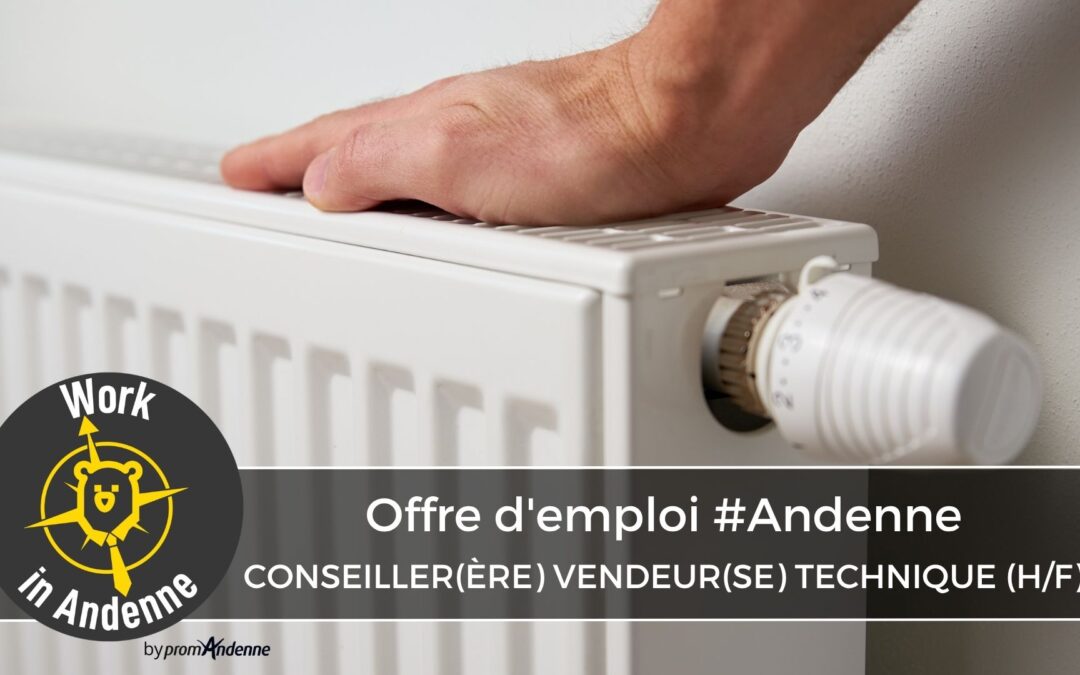 Conseiller(ère) vendeur(se) technique – Chauffage, Sanitaire, HVAC (H/F)