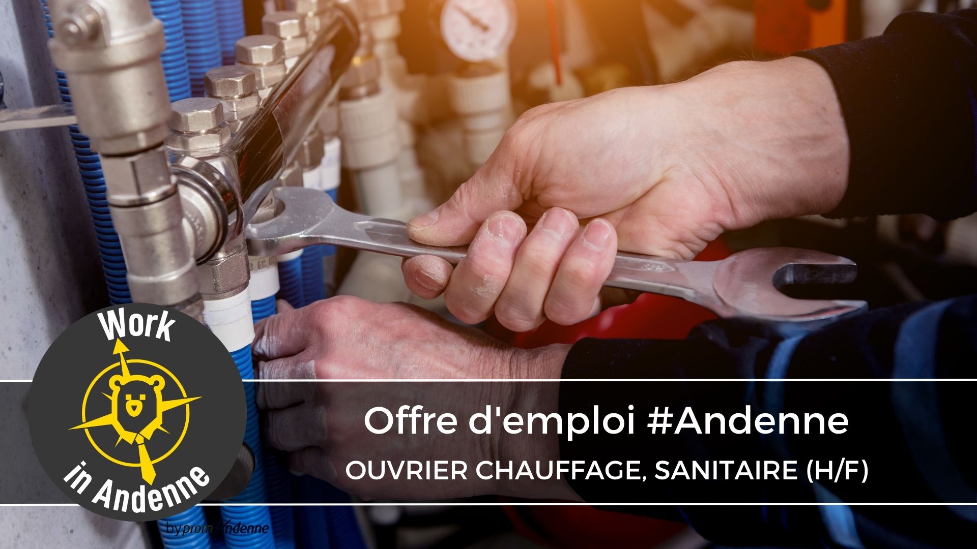 Offre d’emploi #Andenne (61)