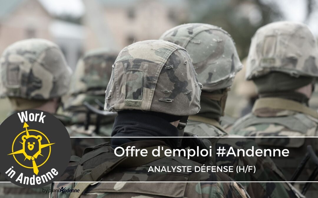 Analyste Défense (h/f)